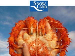 snowlandkingcrab